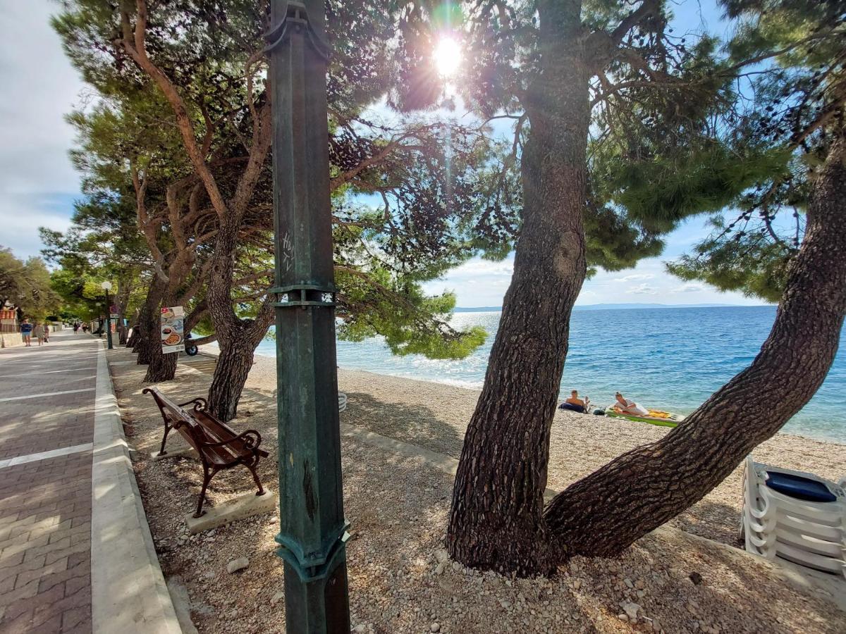 Sea & Sun Apartments Tučepi エクステリア 写真